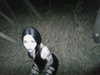 dustheadd Altpins Profile Picture