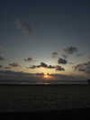 lian_sabag8 Altpins Profile Picture