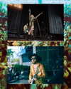 cannonstheband Altpins Profile Picture