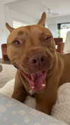 olivia.mathers Altpins Profile Picture