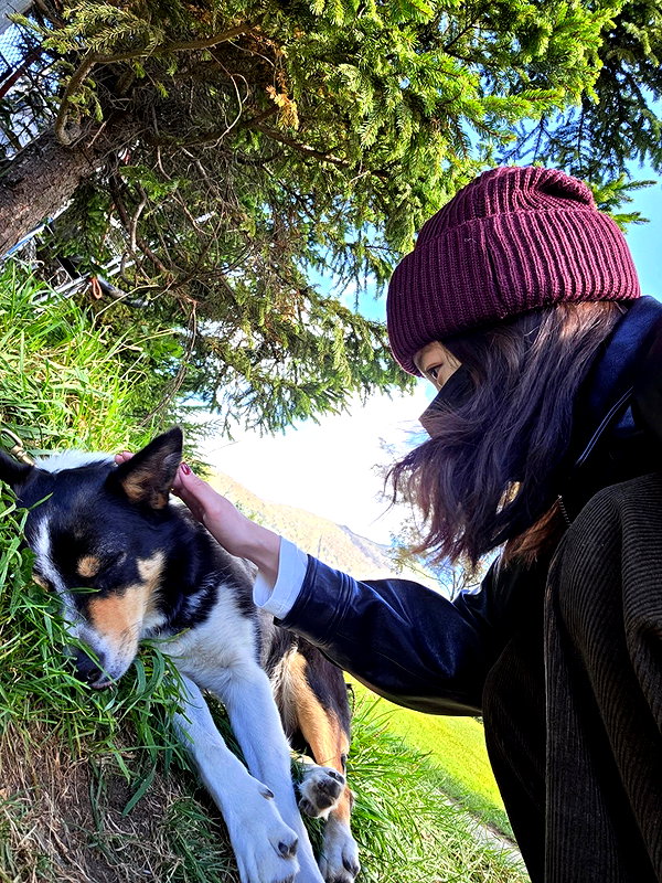 zuhazana instagram image archive image