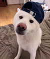 kriskaik Altpins Profile Picture