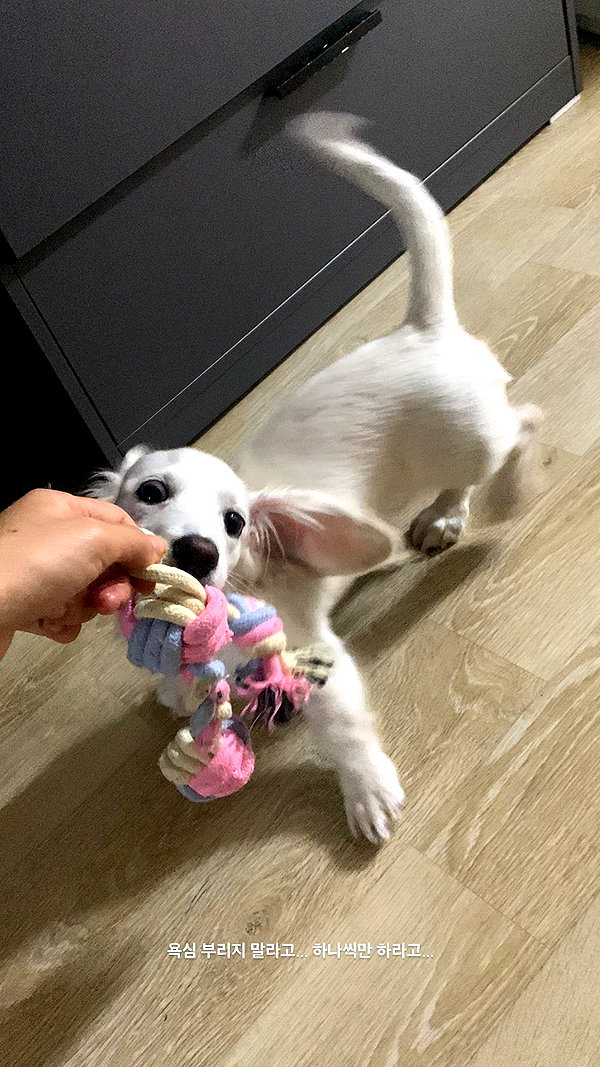 Archived image from @heroineseen on Instagram