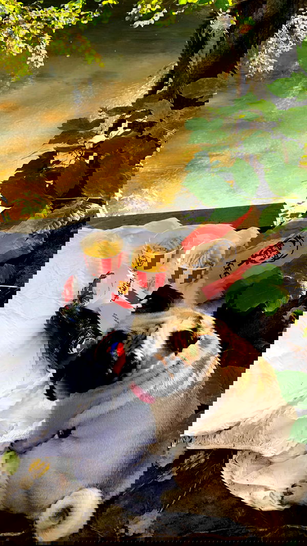 nyityam nyityam archive image