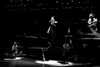adele Altpins Profile Picture