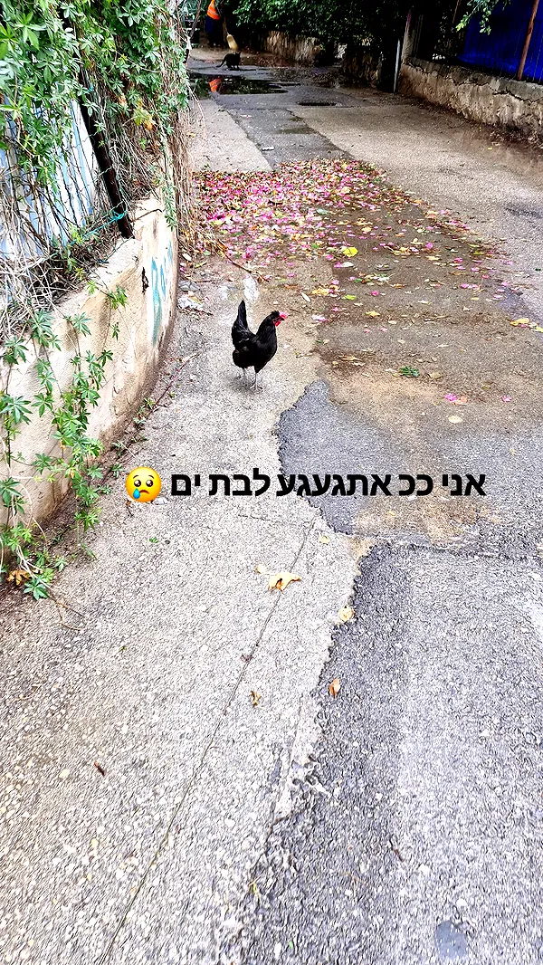 ida.trbl ida.trbl archive image