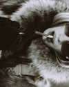 kkwwwv Altpins Profile Picture