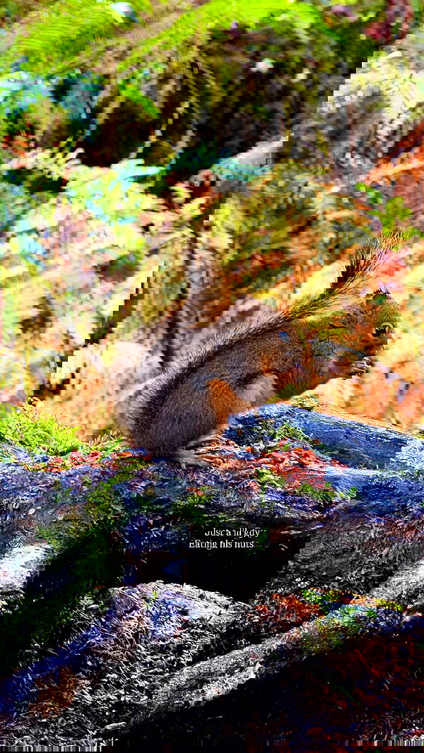 taylor.creeden taylor.creeden archive image