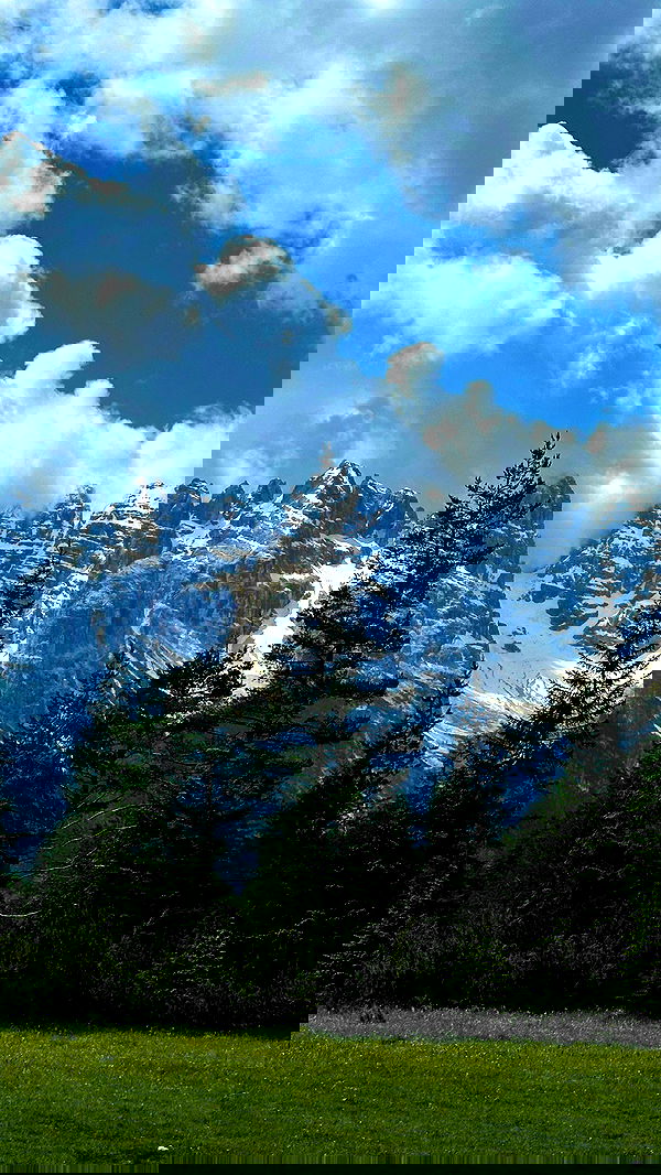 taylor.creeden taylor.creeden archive image