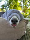 lilih Altpins Profile Picture