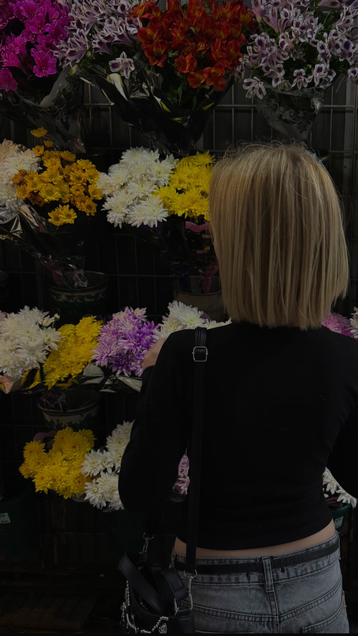 melbruno instagram image archive image