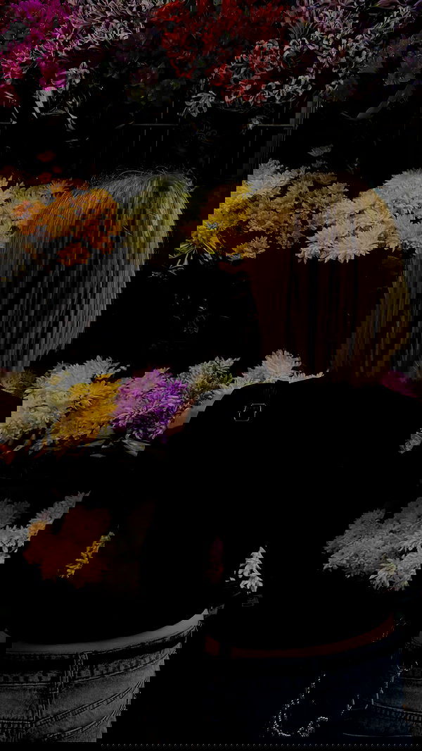 melbruno image ~ Altpins