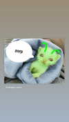 dante_yangpa Altpins Profile Picture