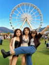 elsarca Altpins Profile Picture