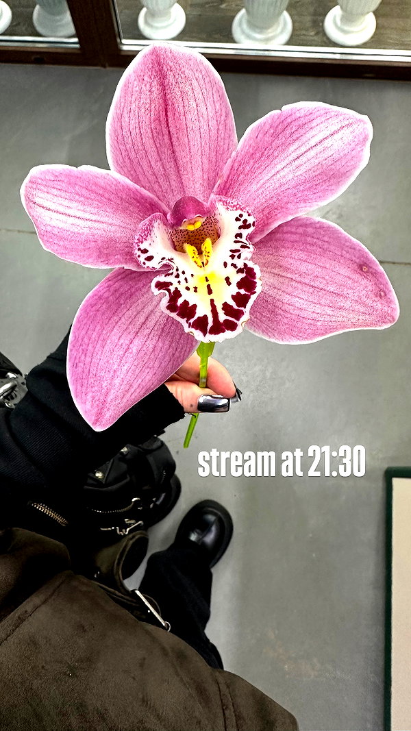 hoodifruit instagram image archive image