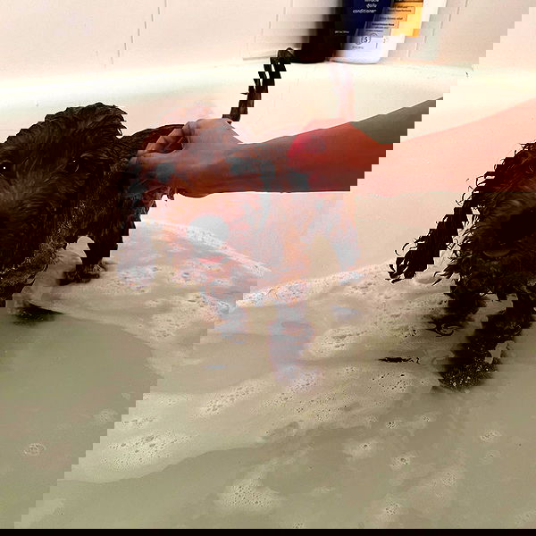 missnyxdawn missnyxdawn archive image