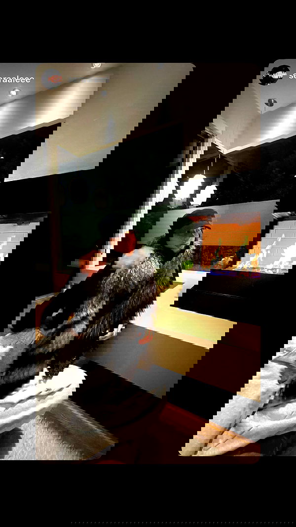 symonery image ~ Altpins