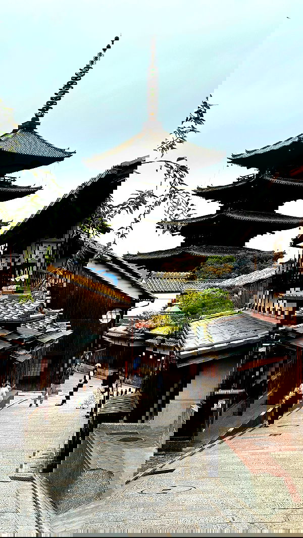 taylor.creeden taylor.creeden archive image