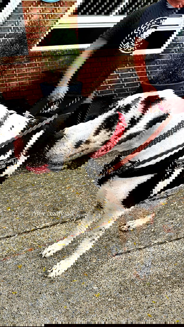 taylor.creeden taylor.creeden archive image