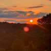 rouxroux.tv Altpins Profile Picture