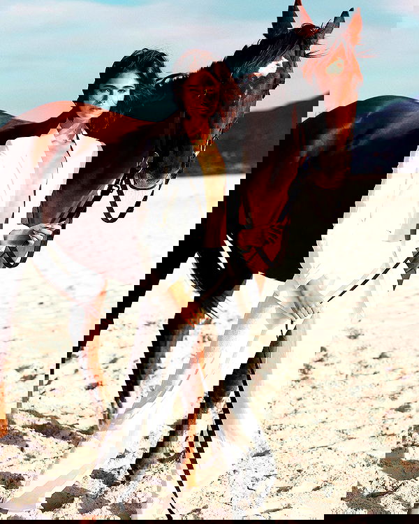 taylor.creeden taylor.creeden archive image