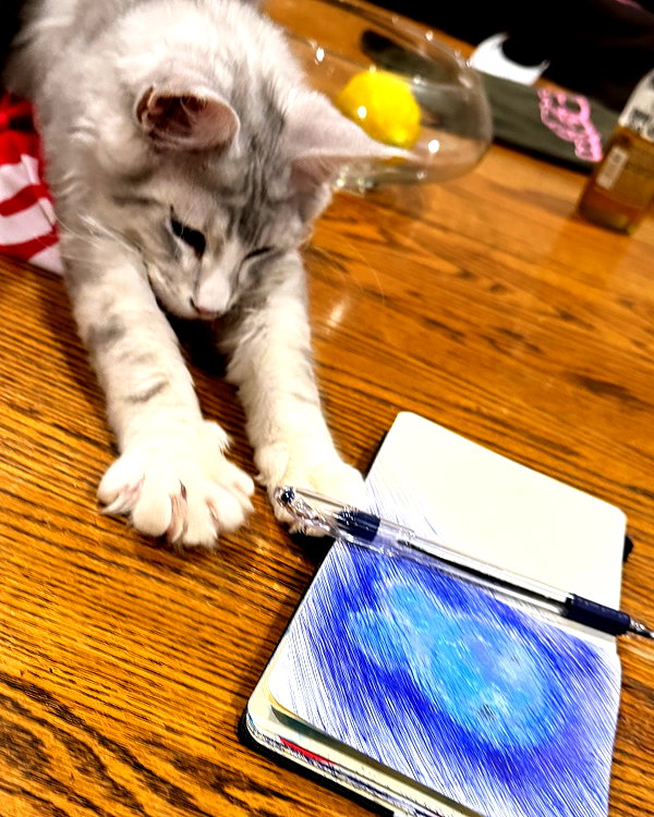 mewisa instagram image archive image
