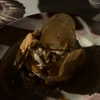 pol_cherie Altpins Profile Picture