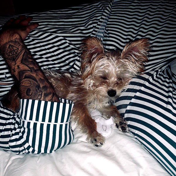lilbieber instagram image archive image