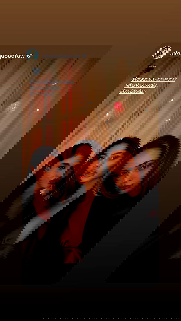 taylor.creeden taylor.creeden archive image