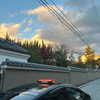 lollinski Altpins Profile Picture