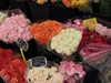 annabottoo Altpins Profile Picture