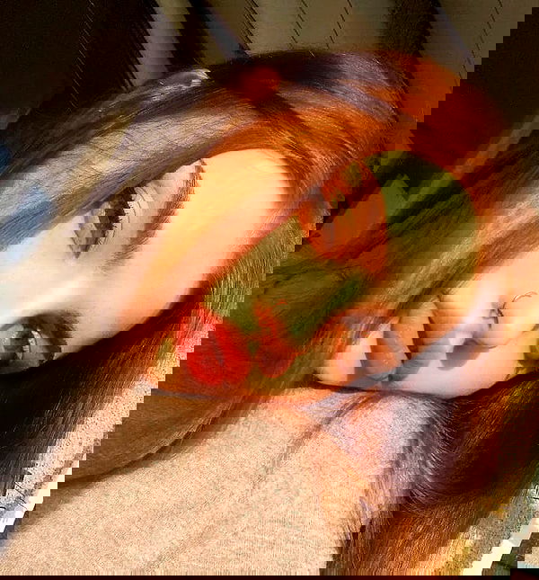 annfigmax image ~ Altpins