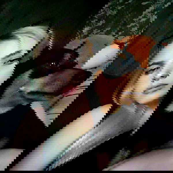 annfigmax image ~ Altpins