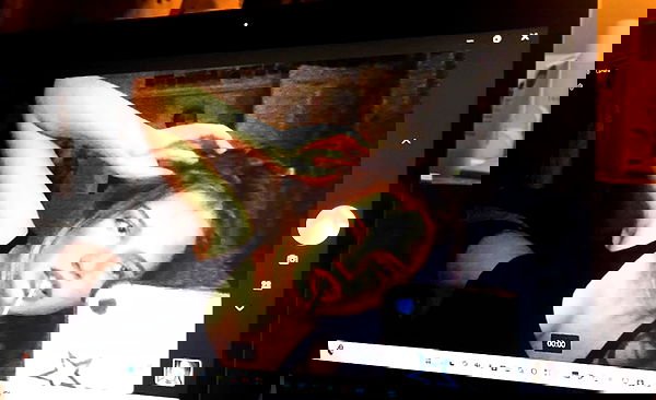 kitty.elliss kitty.elliss archive image