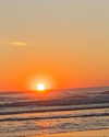 solzarubin_ Altpins Profile Picture