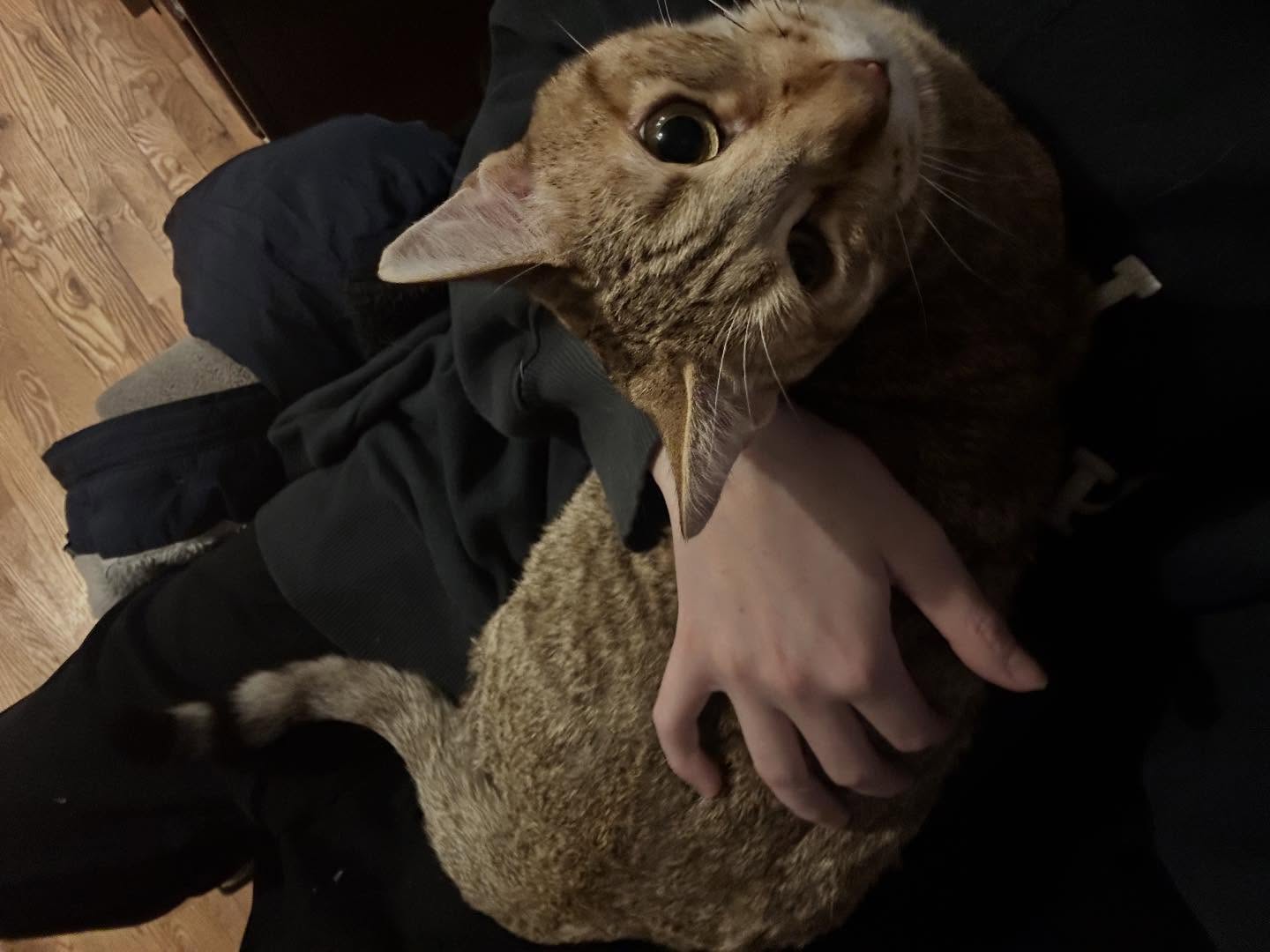 _animechika_ instagram image archive image