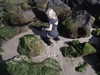 ash.onme Altpins Profile Picture