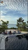 shirakor_ Altpins Profile Picture