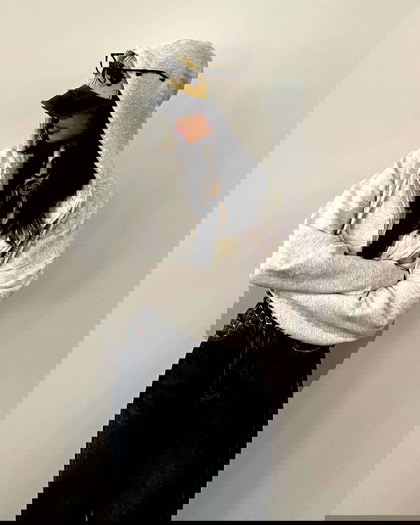 txxwwq txxwwq archive image