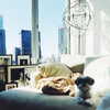 ashleybenson Altpins Profile Picture