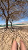 seline_paz Altpins Profile Picture
