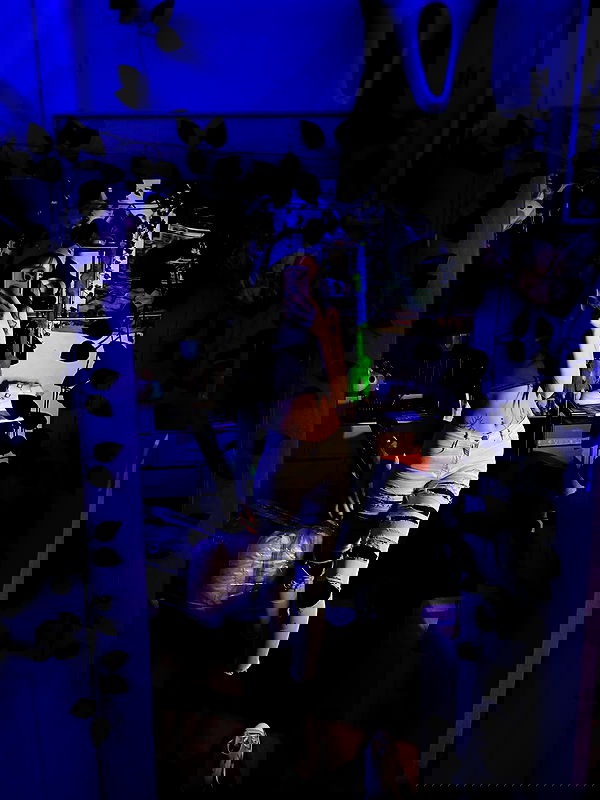 _animechika_ _animechika_ archive image