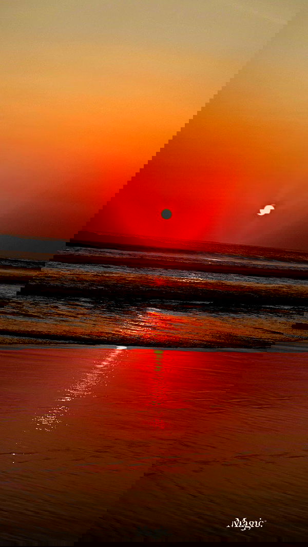 taylor.creeden taylor.creeden archive image