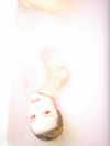 ch111oe Altpins Profile Picture