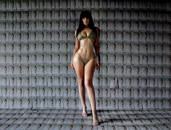 ann.shellll archive image