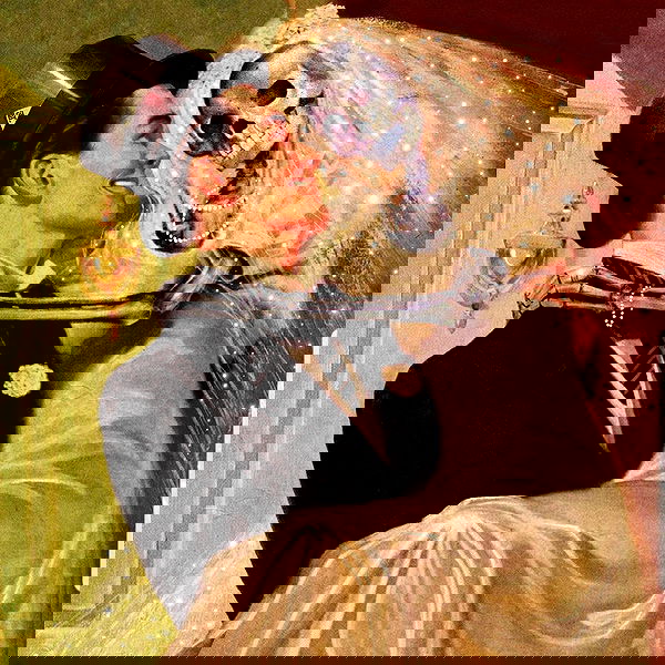 jtilb image ~ Altpins