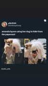 babynympho_archive Altpins Profile Picture