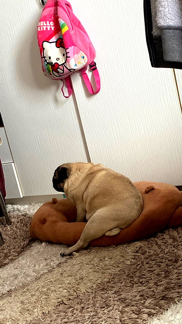 bobinskkii instagram image archive image