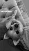 nina.kxs Altpins Profile Picture