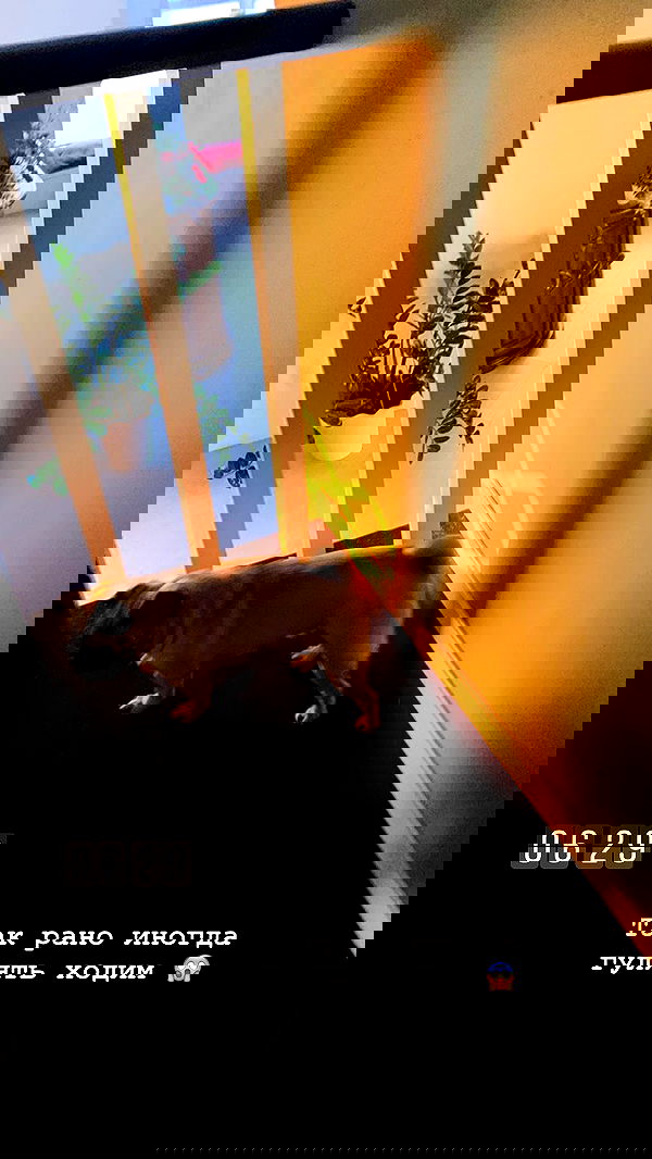 nyityam nyityam archive image